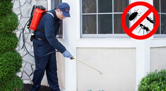 Bandırma Hamam Böceği İlaçlama böcek ilaçlama ve haşere kontrolü — ilaclama-tr.com